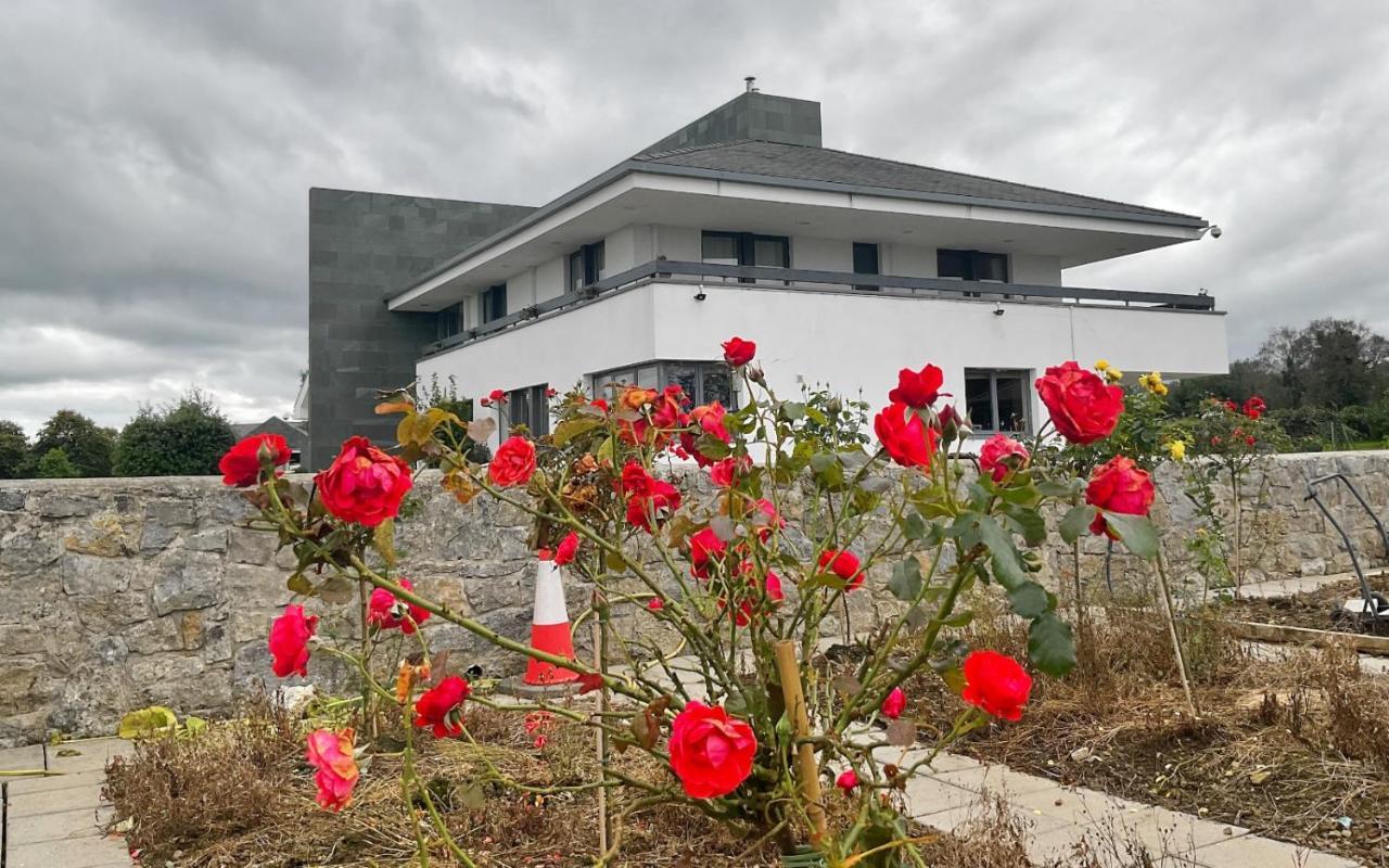 Hazelwood Country House Bed and Breakfast Adare Exterior foto