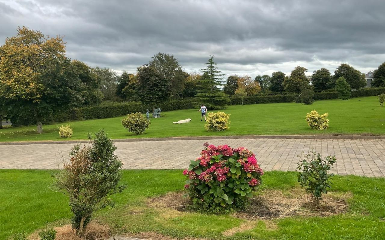 Hazelwood Country House Bed and Breakfast Adare Exterior foto